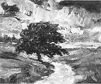 Baum im Sturm